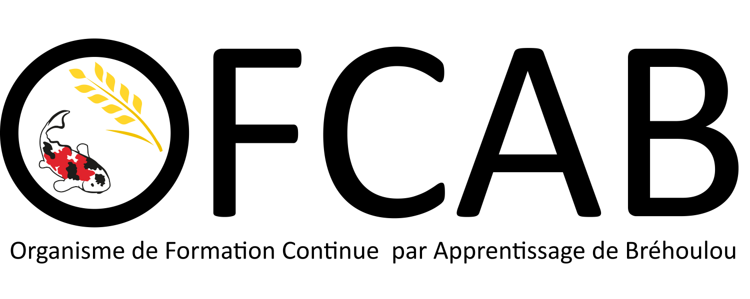 Moodle ofcab EPL Quimper-Bréhoulou